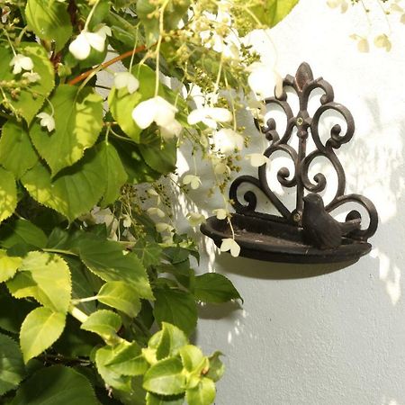 Ferienhaus Witte Huuske إمدن المظهر الخارجي الصورة